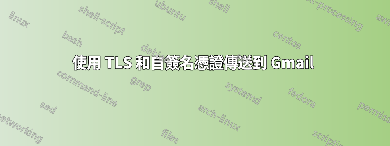 使用 TLS 和自簽名憑證傳送到 Gmail
