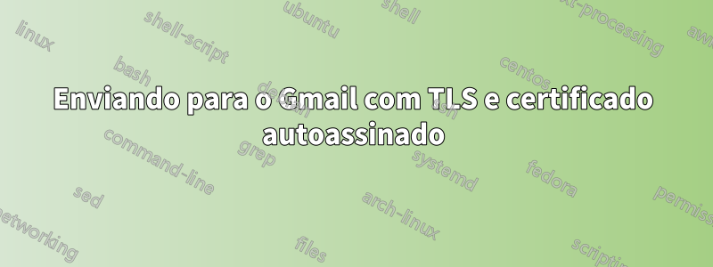Enviando para o Gmail com TLS e certificado autoassinado