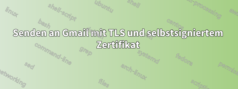 Senden an Gmail mit TLS und selbstsigniertem Zertifikat
