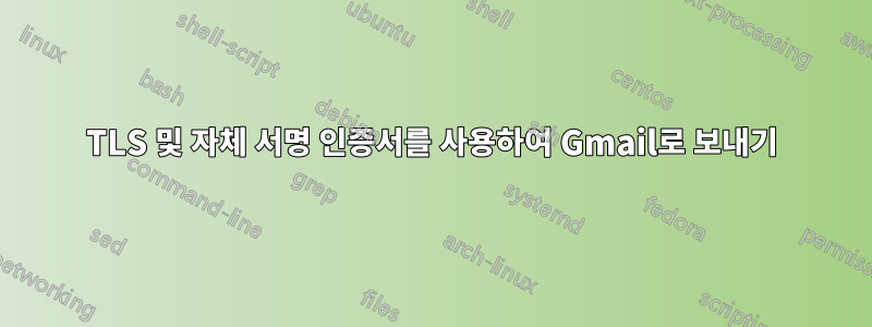 TLS 및 자체 서명 인증서를 사용하여 Gmail로 보내기