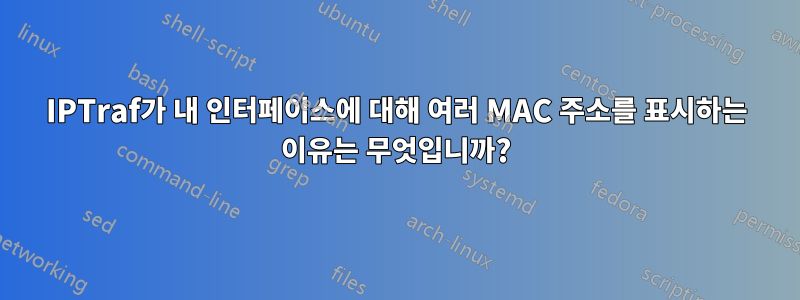 IPTraf가 내 인터페이스에 대해 여러 MAC 주소를 표시하는 이유는 무엇입니까?