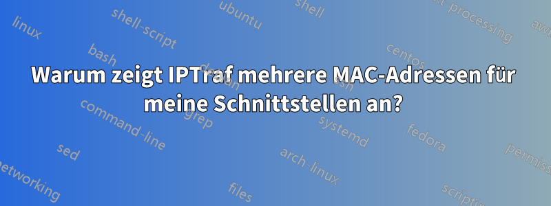 Warum zeigt IPTraf mehrere MAC-Adressen für meine Schnittstellen an?