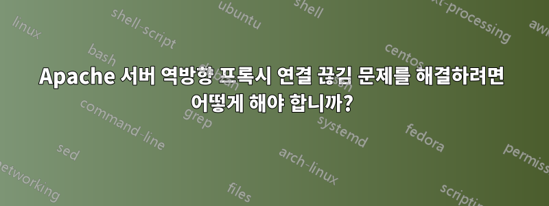 Apache 서버 역방향 프록시 연결 끊김 문제를 해결하려면 어떻게 해야 합니까?