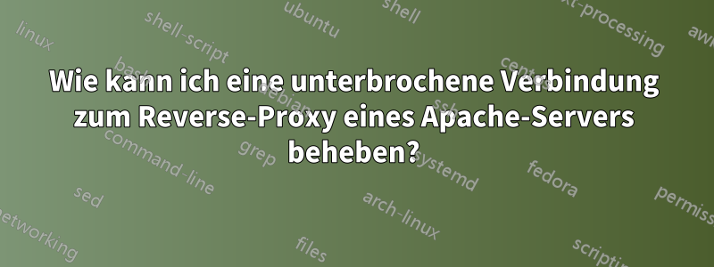 Wie kann ich eine unterbrochene Verbindung zum Reverse-Proxy eines Apache-Servers beheben?