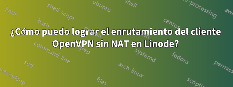 ¿Cómo puedo lograr el enrutamiento del cliente OpenVPN sin NAT en Linode?