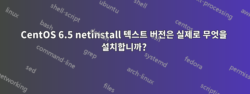 CentOS 6.5 netinstall 텍스트 버전은 실제로 무엇을 설치합니까?