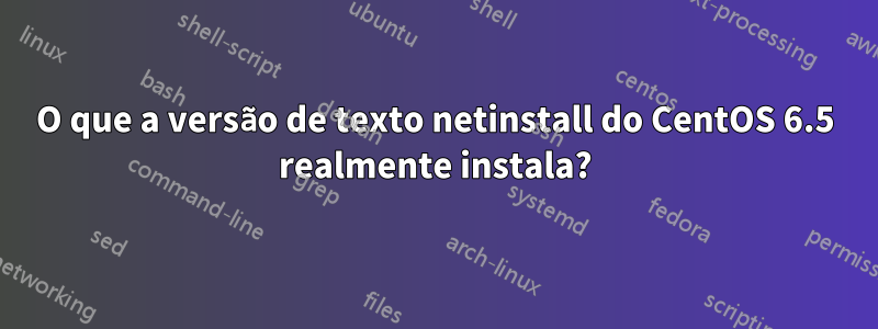 O que a versão de texto netinstall do CentOS 6.5 realmente instala?