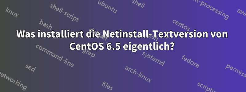 Was installiert die Netinstall-Textversion von CentOS 6.5 eigentlich?