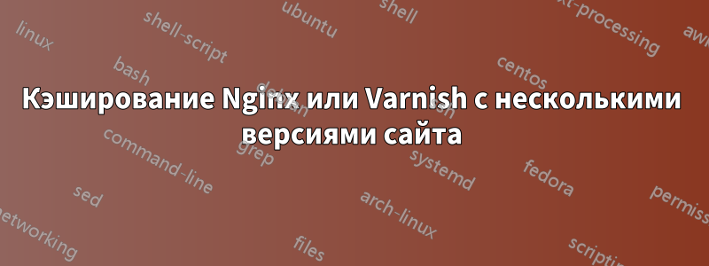 Кэширование Nginx или Varnish с несколькими версиями сайта
