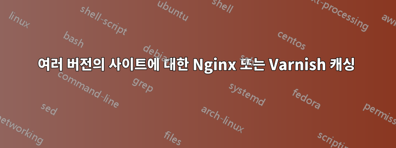 여러 버전의 사이트에 대한 Nginx 또는 Varnish 캐싱
