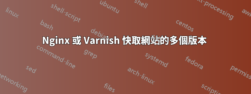 Nginx 或 Varnish 快取網站的多個版本