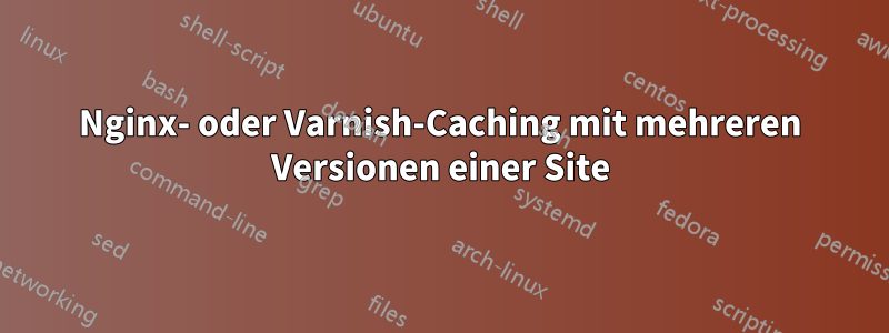 Nginx- oder Varnish-Caching mit mehreren Versionen einer Site