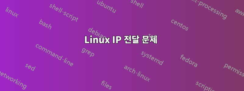 Linux IP 전달 문제