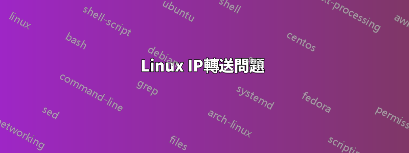 Linux IP轉送問題