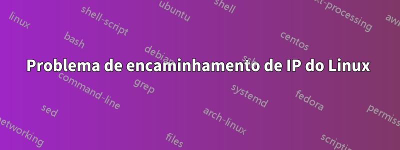 Problema de encaminhamento de IP do Linux
