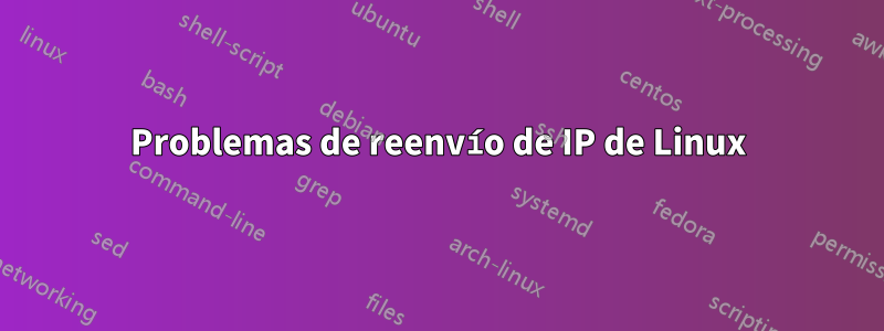 Problemas de reenvío de IP de Linux