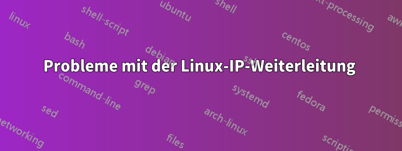 Probleme mit der Linux-IP-Weiterleitung