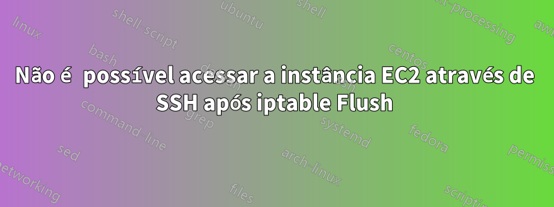 Não é possível acessar a instância EC2 através de SSH após iptable Flush