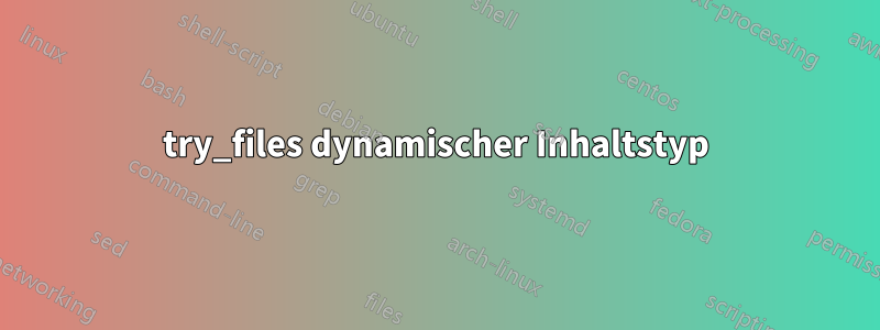 try_files dynamischer Inhaltstyp