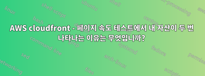 AWS cloudfront - 페이지 속도 테스트에서 내 자산이 두 번 나타나는 이유는 무엇입니까?