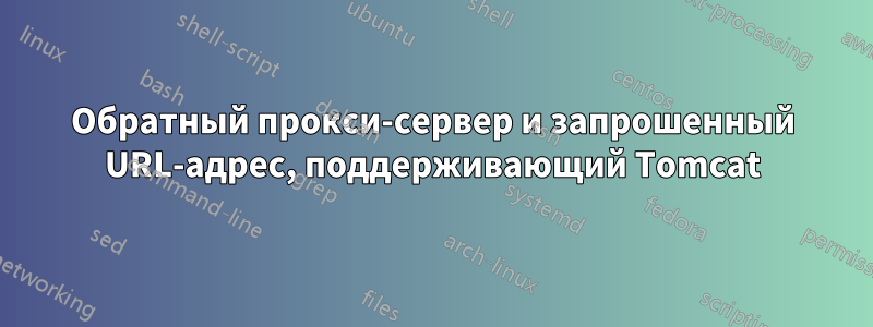 Обратный прокси-сервер и запрошенный URL-адрес, поддерживающий Tomcat