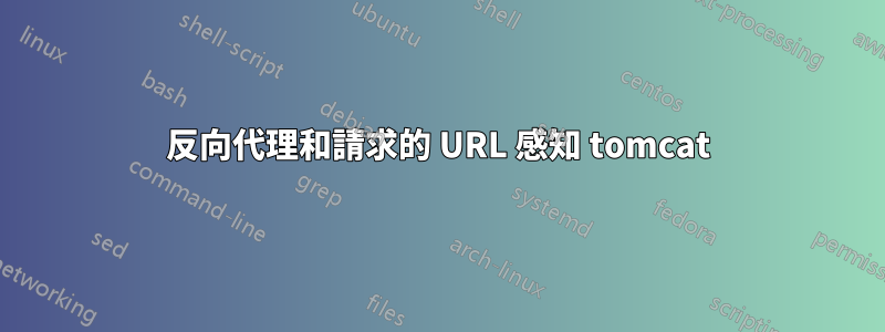 反向代理和請求的 URL 感知 tomcat