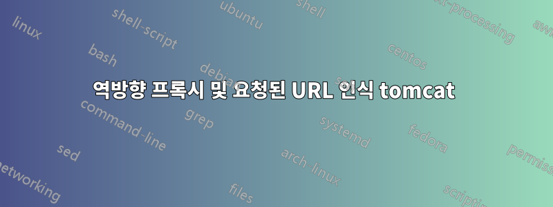 역방향 프록시 및 요청된 URL 인식 tomcat