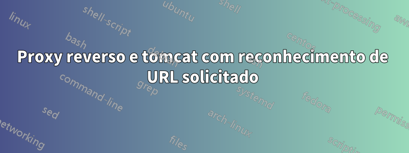 Proxy reverso e tomcat com reconhecimento de URL solicitado