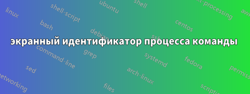 экранный идентификатор процесса команды