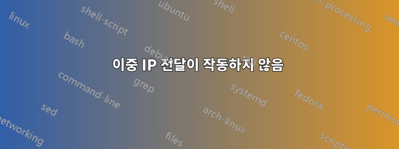 이중 IP 전달이 작동하지 않음