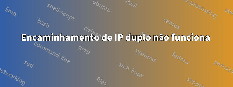 Encaminhamento de IP duplo não funciona