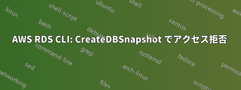 AWS RDS CLI: CreateDBSnapshot でアクセス拒否
