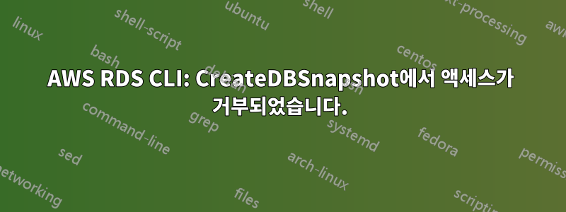 AWS RDS CLI: CreateDBSnapshot에서 액세스가 거부되었습니다.