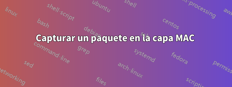 Capturar un paquete en la capa MAC
