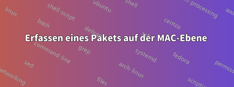 Erfassen eines Pakets auf der MAC-Ebene