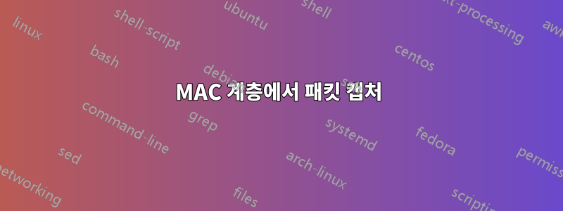 MAC 계층에서 패킷 캡처