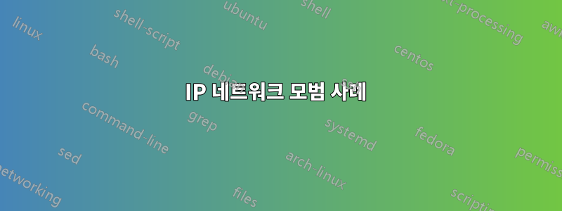 IP 네트워크 모범 사례 