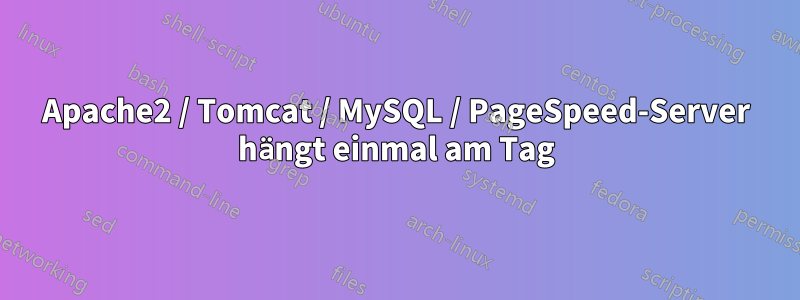 Apache2 / Tomcat / MySQL / PageSpeed-Server hängt einmal am Tag