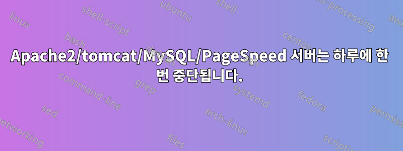 Apache2/tomcat/MySQL/PageSpeed ​​서버는 하루에 한 번 중단됩니다.