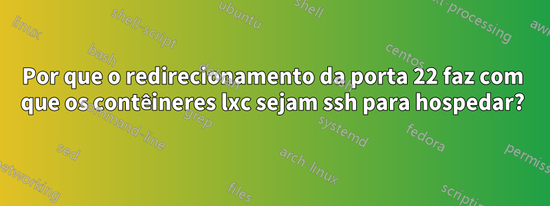 Por que o redirecionamento da porta 22 faz com que os contêineres lxc sejam ssh para hospedar?