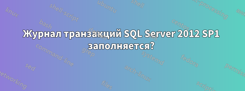 Журнал транзакций SQL Server 2012 SP1 заполняется?