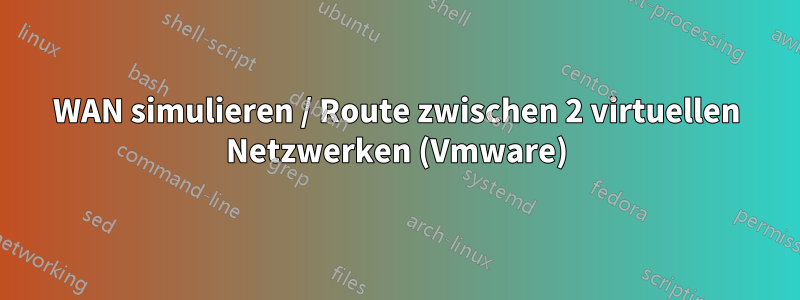 WAN simulieren / Route zwischen 2 virtuellen Netzwerken (Vmware)