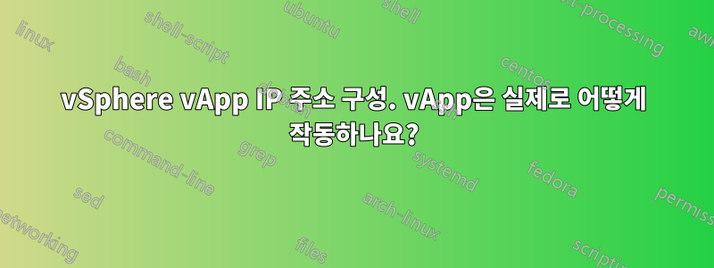 vSphere vApp IP 주소 구성. vApp은 실제로 어떻게 작동하나요?