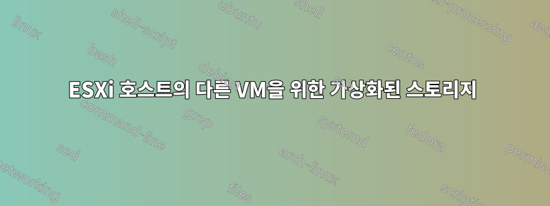 ESXi 호스트의 다른 VM을 위한 가상화된 스토리지