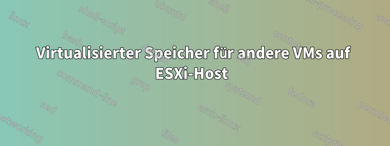 Virtualisierter Speicher für andere VMs auf ESXi-Host 