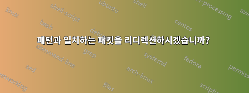 패턴과 일치하는 패킷을 리디렉션하시겠습니까?