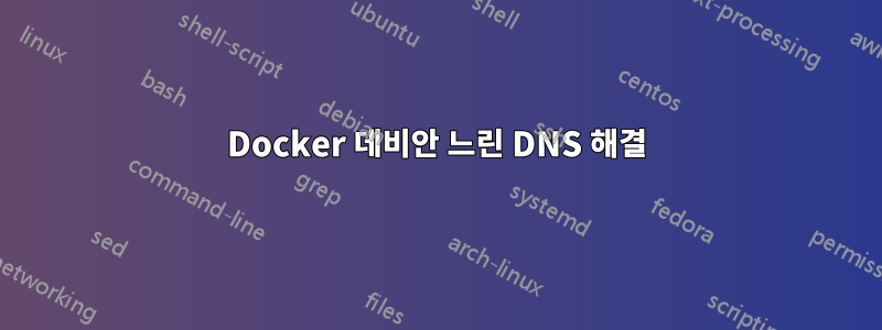 Docker 데비안 느린 DNS 해결