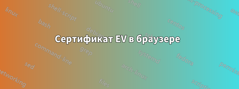 Сертификат EV в браузере 