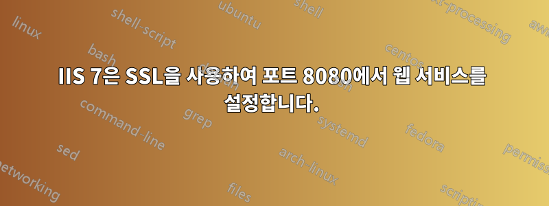 IIS 7은 SSL을 사용하여 포트 8080에서 웹 서비스를 설정합니다.