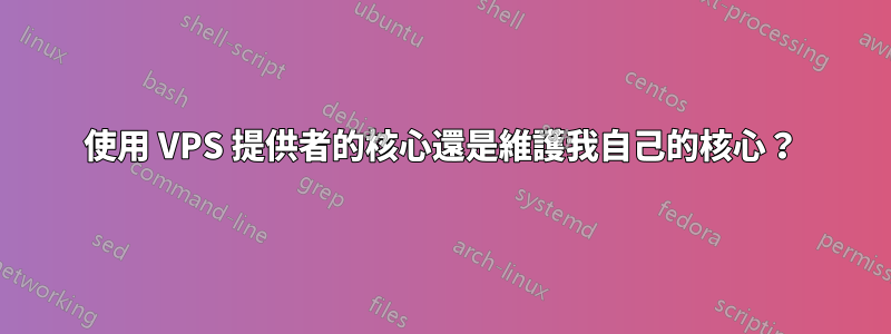 使用 VPS 提供者的核心還是維護我自己的核心？